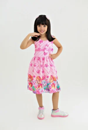 vestido patrulha canina